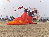 Cervia 2011-112